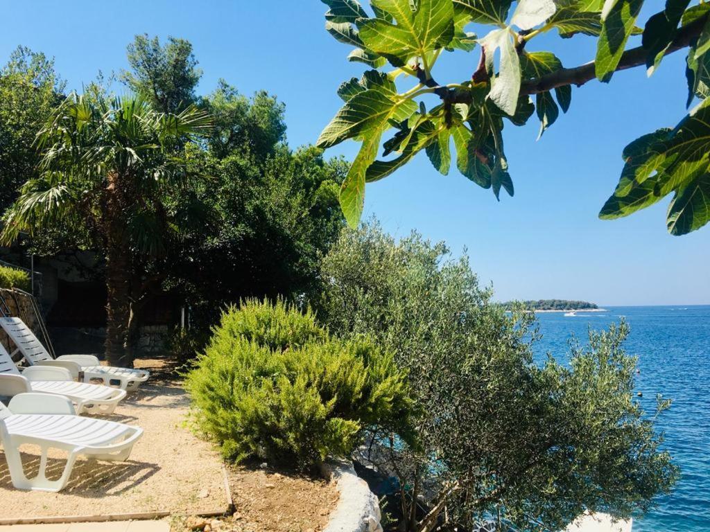 Apartamento Premium Oaza Primošten Exterior foto